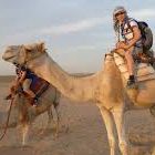 Sahara Moto, 5 hours